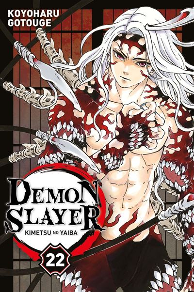 Couverture Les rôdeurs de la nuit / Demon Slayer, tome 22
