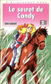 Couverture Le secret de Candy Editions Hachette (Bibliothèque Rose) 1984