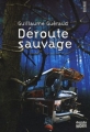 Couverture Déroute sauvage Editions du Rouergue (doAdo - Noir) 2009