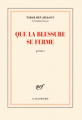 Couverture Que la blessure se ferme Editions Gallimard  (Blanche) 2012