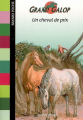 Couverture Un cheval de prix Editions Bayard (Poche) 2009