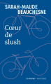 Couverture Coeur de slush / Billie Lou Editions Hurtubise (La Ruche) 2022