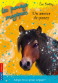 Couverture Un amour de poney  Editions Pocket (Jeunesse) 2012