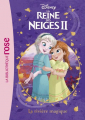Couverture La Reine des Neiges 2, tome 01 : La rivière magique Editions Hachette (Bibliothèque Rose) 2020