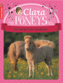 Couverture Clara et les poneys, tome 2 : Les nouveaux poulains Editions Flammarion (Castor poche) 2011