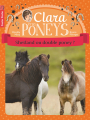 Couverture Clara et les poneys, tome 3 : Shetland ou double poney ? Editions Flammarion (Castor poche) 2011