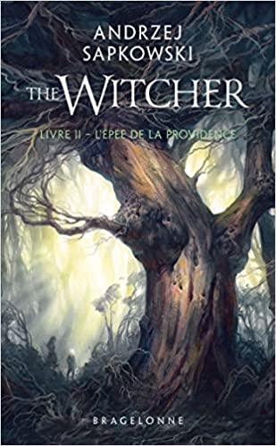 Couverture Sorceleur / The Witcher, tome 2 : L'épée de la providence