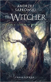 Couverture Sorceleur / The Witcher, tome 2 : L'épée de la providence Editions Bragelonne (Poche) 2022