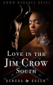 Couverture Love In the Jim Crow South Editions Autoédité 2017