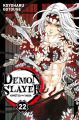 Couverture Les rôdeurs de la nuit / Demon Slayer, tome 22 Editions Panini (Manga - Shônen) 2022