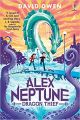 Couverture Alex Neptune, tome 1 : Voleur de dragon Editions Usborne 2022