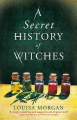 Couverture A Secret History of Witches Editions Orbit 2018