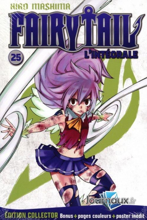 Couverture Fairy Tail, intégrale, tome 25