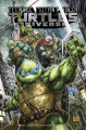 Couverture Teenage Mutant Ninja Turtles: Universe, book 1 Editions IDW Publishing 2017