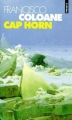 Couverture Cap Horn Editions Points 1996