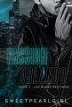 Couverture Passion Orlando, tome 2 : Les Blood Brothers Editions Autoédité 2022