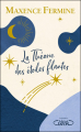 Couverture La Théorie des étoiles filantes Editions Michel Lafon 2022