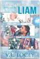 Couverture Selon Liam, tome 2 : Noël selon Liam Editions Autoédité 2021