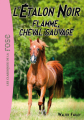 Couverture L'étalon noir, tome 04 : Flamme, cheval sauvage Editions Hachette (Bibliothèque Rose) 2011