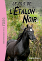 Couverture L'étalon noir, tome 04 : Flamme, cheval sauvage Editions Hachette (Bibliothèque Rose) 2011