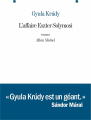 Couverture L'affaire Eszter Solymosi Editions Albin Michel (Les grandes traductions) 2013