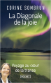 Couverture La Diagonale de la Joie Editions Pocket (Spiritualité) 2022
