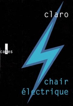 Couverture Chair électrique