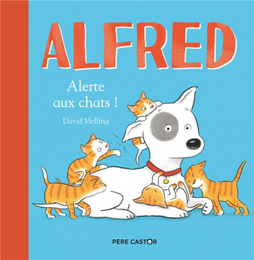 Couverture Alfred Alerte aux chats !