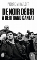 Couverture De Noir Désir à Bertrand Cantat Editions J'ai Lu 2013