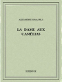 Couverture La Dame aux camélias Editions Bibebook 2015