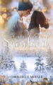 Couverture Romances à Snowland, tome 2 : Coincée à Snowland pour Noël Editions Autoédité 2022
