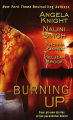Couverture Burning Up Editions Berkley Books 2010