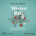Couverture Mister Big ou la glorification des amours toxiques Editions Vues et voix 2021
