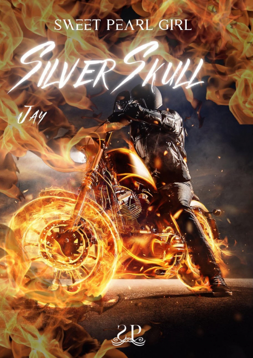 Couverture Silver Skull, tome 2 : Jay