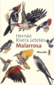 Couverture Malarrosa Editions Métailié 2011