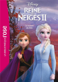 Couverture La Reine des neiges 2 (Adaptation du film Disney - Tous formats) Editions Hachette (Bibliothèque Rose) 2019