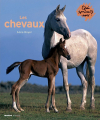 Couverture Les chevaux Editions Mango (Jeunesse) 2008