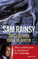 Couverture Des racines dans la pierre Editions Calmann-Lévy 2008