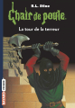 Couverture La tour de la terreur / Les pierres magiques Editions Bayard (Frisson) 2017