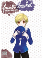 Couverture Fruits Basket perfect, tome 04 Editions Delcourt-Tonkam (Shojo) 2018