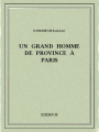 Couverture Un grand homme de province à Paris Editions Bibebook 2015