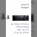 Couverture Un long silence interrompu par le cri d'un griffon Editions Verticales 2023