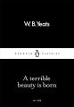 Couverture A Terrible Beauty Is Born Editions Penguin books 2016