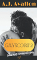 Couverture Gayscort, tome 2 Editions Autoédité 2022