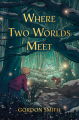 Couverture Where Two Worlds Meet Editions Hay House 2023