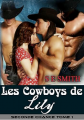 Couverture Seconde chance (Smith), tome 1 : Les Cowboys de Lily Editions Autoédité 2023