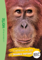 Couverture Wild immersion, tome 03 : Expédition au pays des orangs-outans Editions Hachette (Bibliothèque Verte) 2020