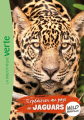 Couverture Wild immersion, tome 09 : Expédition au pays des jaguars Editions Hachette (Bibliothèque Verte) 2022