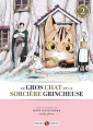 Couverture Le Gros Chat et la Sorcière grincheuse, tome 2 Editions Doki Doki 2023