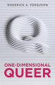 Couverture One-Dimensional Queer Editions Polity 2018